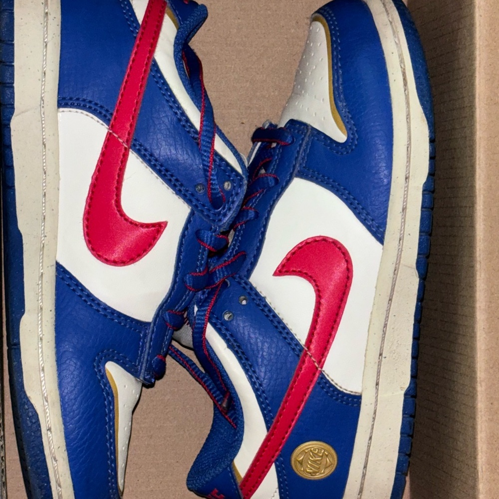 Nike Kids Sneakers in Blue and Red